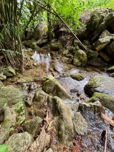 Fazenda/Sítio com 2 Quartos à venda, 6000m² no Comunidade Urbana de Jaboti, Guarapari