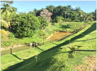 Casa de Condomínio com 4 Quartos à venda, 374m² no Portão, Lauro de Freitas