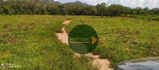 Fazenda/Sítio à venda, 19698800m² no , Niquelândia