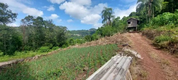 Lote/Terreno à venda, 30m² no Pinhal Alto, Nova Petrópolis