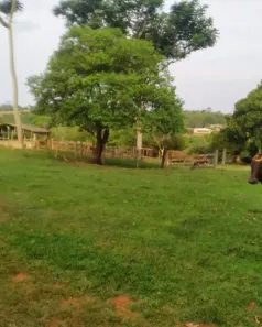 Fazenda/Sítio à venda, 100000m² no Área Rural de Anápolis, Anápolis