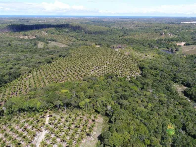 Fazenda/Sítio à venda, 685000m² no Sauípe, 