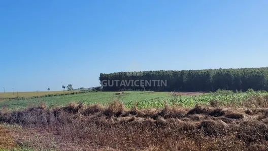 Fazenda/Sítio com 3 Quartos à venda, 37m² no Centro, Avaí