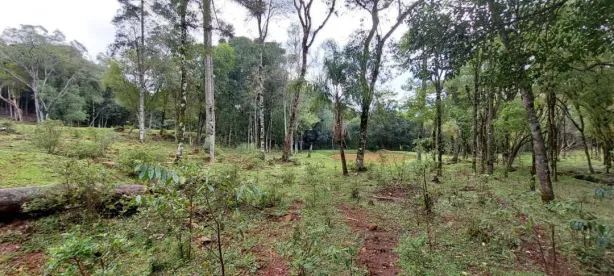 Lote/Terreno à venda, 22000m² no , Nova Petrópolis