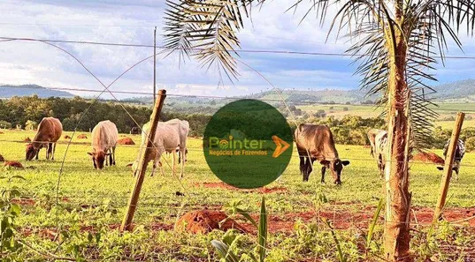 Fazenda/Sítio à venda, 290400m² no , Itaberaí
