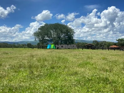 Fazenda/Sítio com 1 Quarto à venda, 1300m² no , Buritis