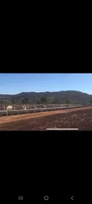 Fazenda/Sítio com 3 Quartos à venda, 150m² no , Niquelândia