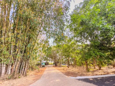 Fazenda/Sítio à venda, 2422m² no , Terezópolis de Goiás