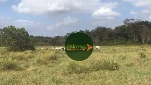 Fazenda/Sítio à venda, 16870000m² no , Bonfim