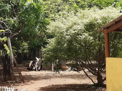 Fazenda/Sítio com 2 Quartos à venda, 10000m² no Centro, Padre Bernardo