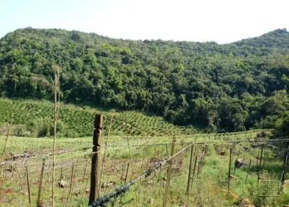 Lote/Terreno à venda, 120000m² no Forqueta Baixa, Vale Real