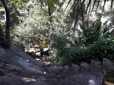 Lote/Terreno à venda, 604m² no Jardim Botânico, Rio de Janeiro