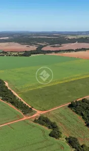 Fazenda/Sítio à venda, 200m² no Vila Santa Maria, Inhumas