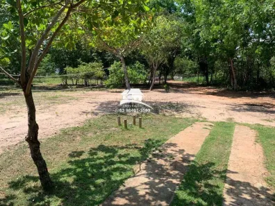 Fazenda/Sítio com 3 Quartos à venda, 120000m² no , Babaçulândia