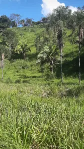 Fazenda/Sítio com 2 Quartos à venda, 1016m² no , Padre Bernardo