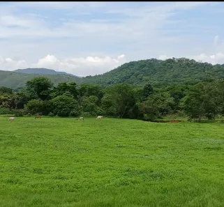 Fazenda/Sítio à venda, 28m² no Brazlândia, Brasília