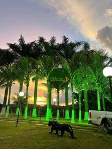 Fazenda/Sítio com 4 Quartos à venda, 256520m² no Área Rural de Inhumas, Inhumas