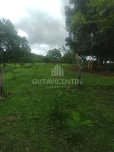 Fazenda/Sítio com 2 Quartos à venda, 13m² no Vila Santa Maria, Piratininga