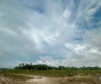 Lote/Terreno à venda, 4460m² no , Santo Amaro do Maranhão