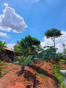 Fazenda/Sítio com 3 Quartos à venda, 4000m² no , Leopoldo de Bulhões