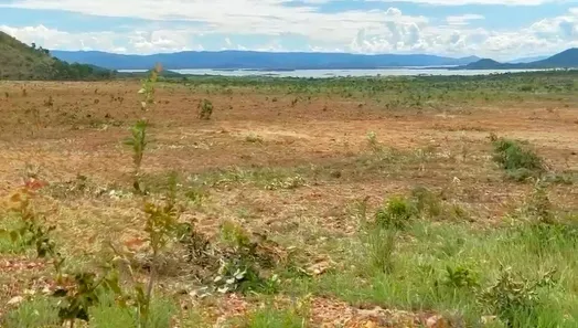 Fazenda/Sítio à venda, 4114m² no , Niquelândia