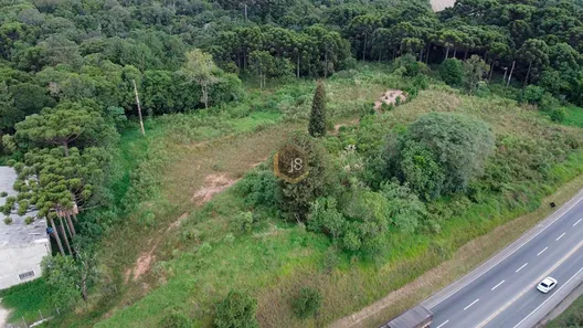 Lote/Terreno para alugar, 20000m² no Lamenha Grande, Almirante Tamandaré