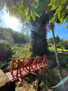 Fazenda/Sítio com 5 Quartos à venda, 8540m² no Itaipava, Petrópolis