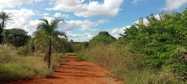 Lote/Terreno à venda, 20000m² no Park Way, Brasília