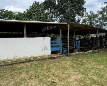 Fazenda/Sítio à venda, 65000m² no Comunidade Urbana de Jaboticaba, Guarapari