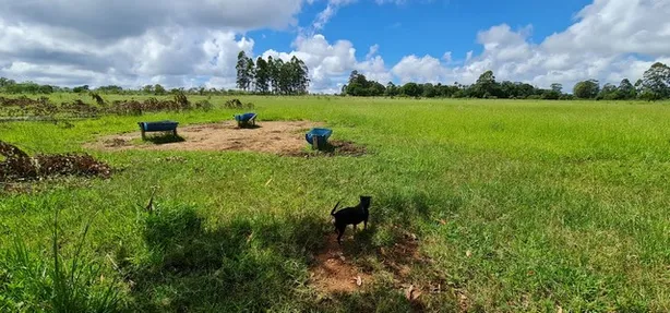 Fazenda/Sítio com 1 Quarto à venda, 20000m² no Brazlândia, Brasília