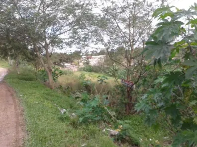 Lote/Terreno à venda, 4800m² no Santo Onofre, Viamão
