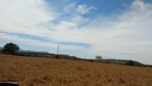 Fazenda/Sítio com 1 Quarto à venda, 400m² no Rodovia BR 153, Jaraguá
