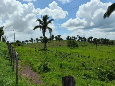 Fazenda/Sítio com 3 Quartos à venda, 1400m² no Zona Rural, Coroatá