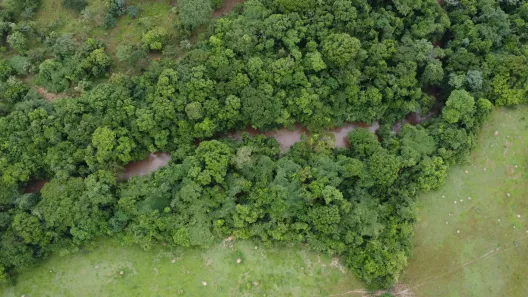 Fazenda/Sítio à venda, 1654892m² no , Itaberaí