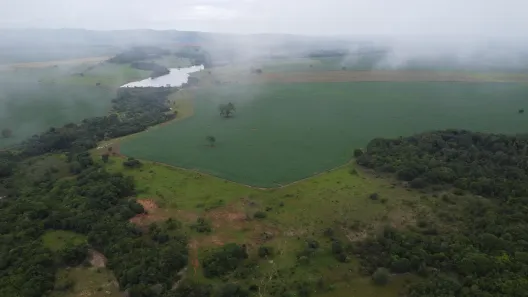 Fazenda/Sítio à venda, 1654892m² no , Itaberaí