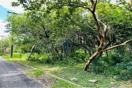 Lote/Terreno à venda, 1075m² no Centro, Nova Santa Rita