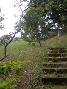 Fazenda/Sítio com 3 Quartos à venda, 31000m² no Guaratiba, Rio de Janeiro