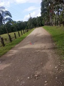 Fazenda/Sítio com 1 Quarto à venda, 332m² no Guaraqueçaba, Guaraqueçaba