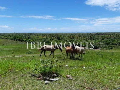 Fazenda/Sítio à venda, 484000m² no , Belmonte