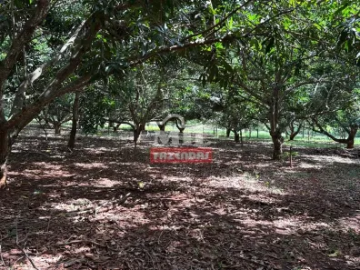 Fazenda/Sítio à venda, 20000m² no , Terezópolis de Goiás
