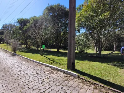 Fazenda/Sítio com 1 Quarto à venda, 10000m² no Linha Palmeiro, Farroupilha