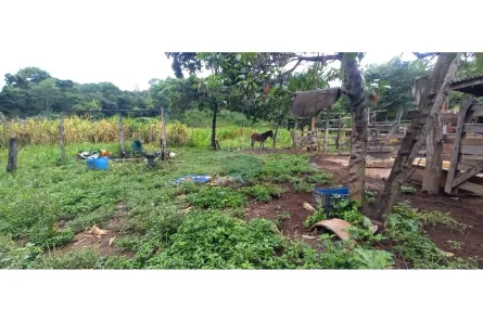 Fazenda/Sítio com 2 Quartos à venda, 30000m² no Área Rural de Brazlândia, Brasília