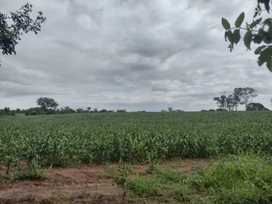 Fazenda/Sítio à venda, 247000m² no , Morro da Garça
