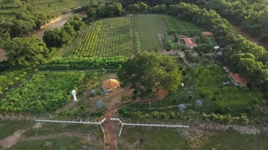 Apartamento com 3 Quartos à venda, 5000m² no Buritis, Buritis