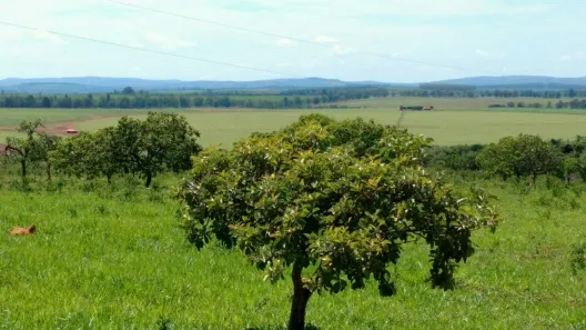Lote/Terreno à venda, 20000m² no Zona Rural, Paraopeba