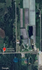 Fazenda/Sítio à venda, 24m² no Linha Palmeiro, Farroupilha