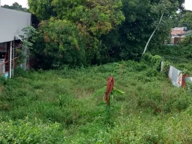 Lote/Terreno à venda no Cidade Nova, Manaus