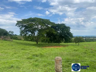 Lote/Terreno à venda, 6m² no Setor Central, Taquaral de Goiás