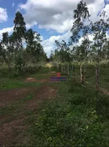 Fazenda/Sítio com 1 Quarto à venda, 2260000m² no , Itapecuru Mirim