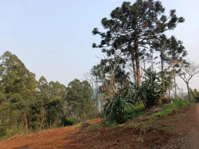 Lote/Terreno à venda, 20000m² no Linha Olinda, Nova Petrópolis